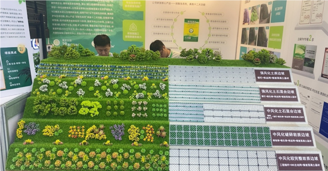 1757463200798057259.png QQ_1757463195463.png